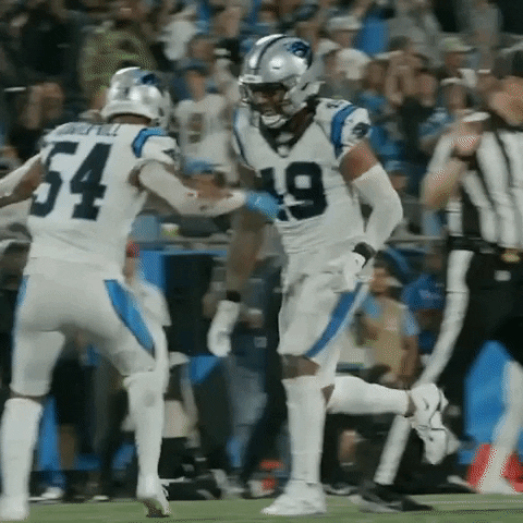 Excited Frankie Luvu GIF by Carolina Panthers
