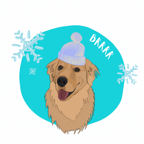 Cold GIF