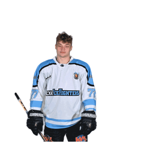 Sad Ice Hockey Sticker by IceFightersLeipzig