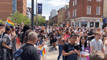 Pride Parade Rainbow GIF by Storyful
