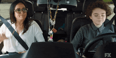 fx networks GIF by Better Things