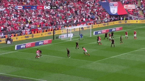 Charlton GIF by nss sports - Find  Share on GIPHY