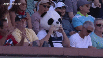Happy Here We Go GIF by Tennis TV