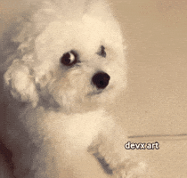 Suspicious Dog GIF by DevX Art