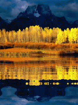 Landscape GIF - Find & Share on GIPHY
