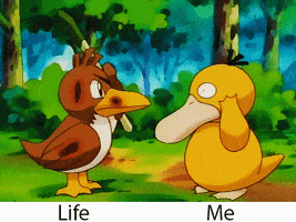 200_s.gif