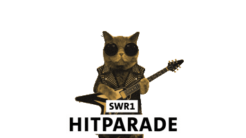 Rock Guitar Sticker by SWR1