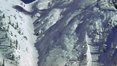 Avalanche Symphony For Our World GIF by Nat Geo Wild  - Find & Share on GIPHY