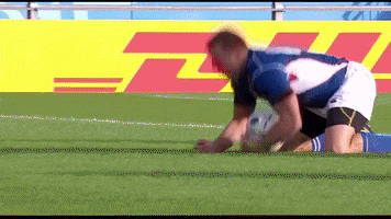 mood celebrate GIF by World Rugby