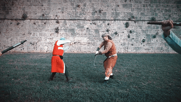 art history GIF by Medieval Festival of Rhodes - Greece