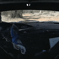 Driving Ford GIF by FIA World Rally Championship