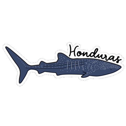 Hondurasnaturalmentetuya Sticker by Visit Honduras