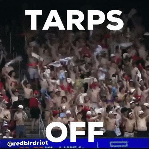 St Louis Cardinals GIF