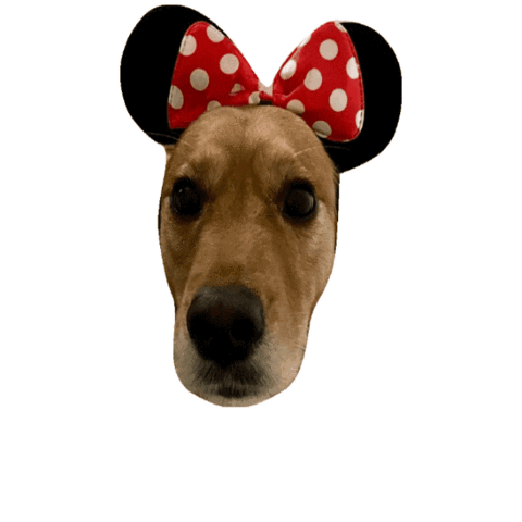 Golden Retriever Dog Sticker by Jesse Ling