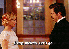 parks and recreation television GIF