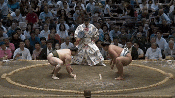 Sumo GIF