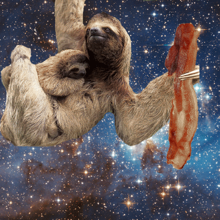 sloths