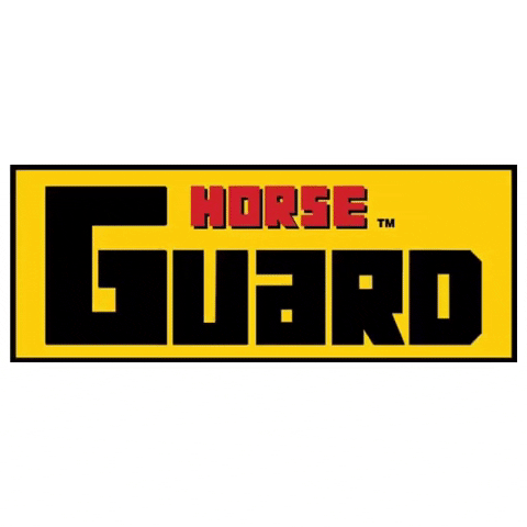Horse Pony GIF