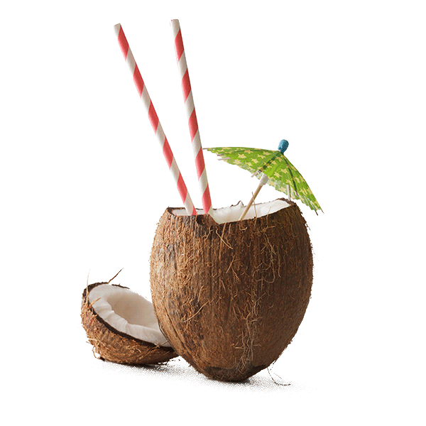Coconut Let'S Get Festive Sticker by TOPS at SPAR for iOS & Android GIPHY