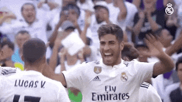 la liga sport GIF by Real Madrid