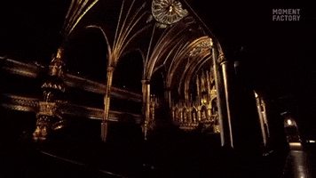 basilique notre-dame church GIF by Moment Factory