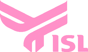 Visual3D Sticker by ISL Agency