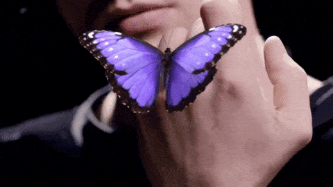 ТЫ и Я
сила притяженья
каждое мгновенье
словно бабочки внутри