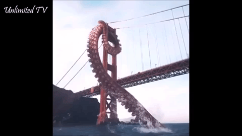 Golden Gate Bridge Gifs Get The Best Gif On Giphy