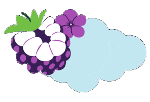 New Post Blackberry Sticker by drinkwildwonder
