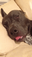 200.gif?cid=f0bdee70y804oiaeib6nmjkpp4bppn3v5pxm5bnaau13ncaa&rid=200.gif&ct=g