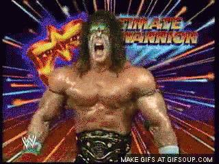 ultimate warrior