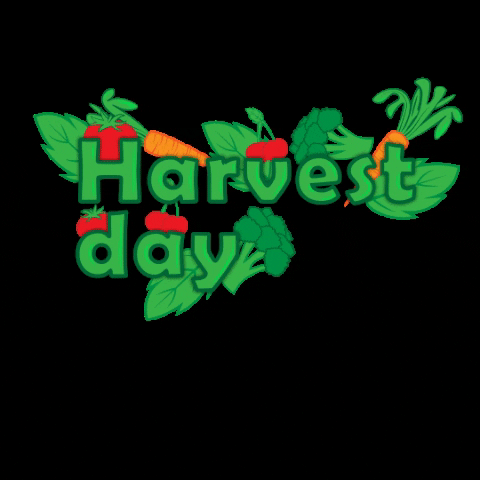 Harvest GIF by Dutchpro Nutrients