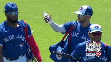 Toronto Blue Jays GIF