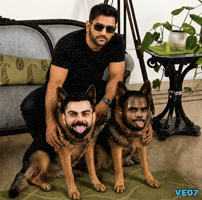 Virat Kohli Cricket GIF