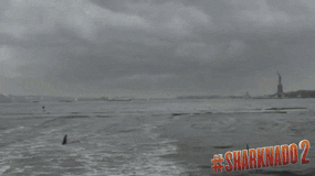 GIF by Sharknado 2 - Find & Share on GIPHY