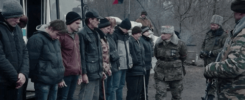 Toronto International Film Festival GIF by TIFF - Find & Share on GIPHY
