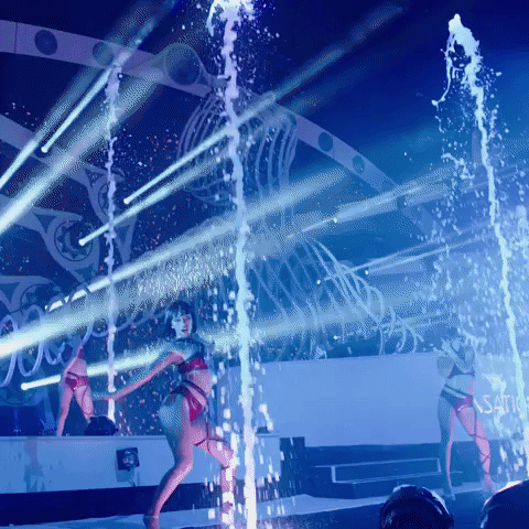 House Music Festival GIF by Sensation