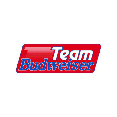 Budweiserspain Sticker by Hot Spot