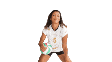 MarcqVolley Sticker