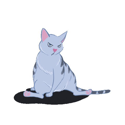 Cat Sticker