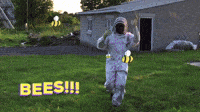 World Bee Day Gifs Get The Best Gif On Giphy World Bee Day Gifs Get The Best Gif On Giphy