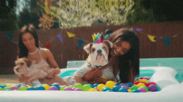 its my dog birthday GIF by T-Pain