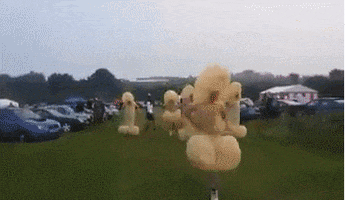 move GIF