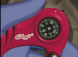 survey  GIF