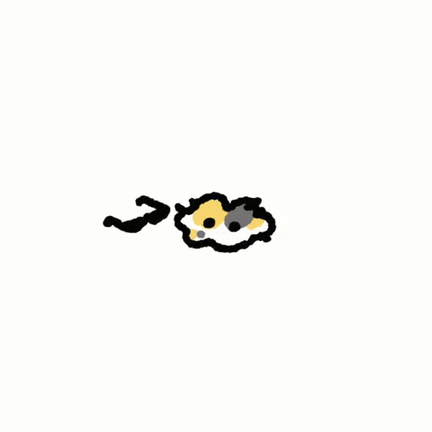 Monday Sunday GIF