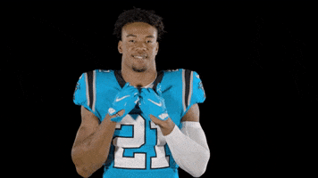 Happy Come On GIF by Carolina Panthers