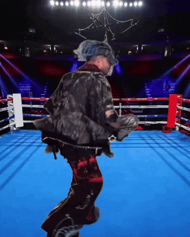 Fight Boxing GIF
