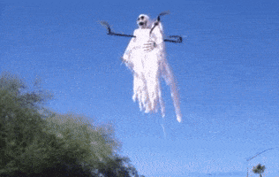 200_s.gif