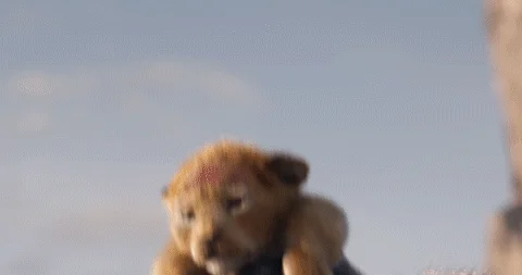 The Lion King GIF