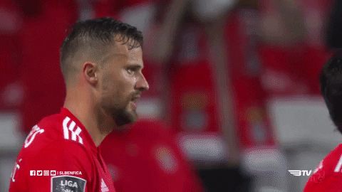 sl benfica hug GIF by Sport Lisboa e Benfica
